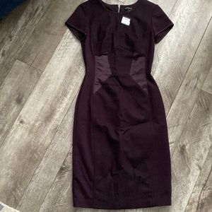 Beautiful club Monaco brand new wool dress in a plum color
